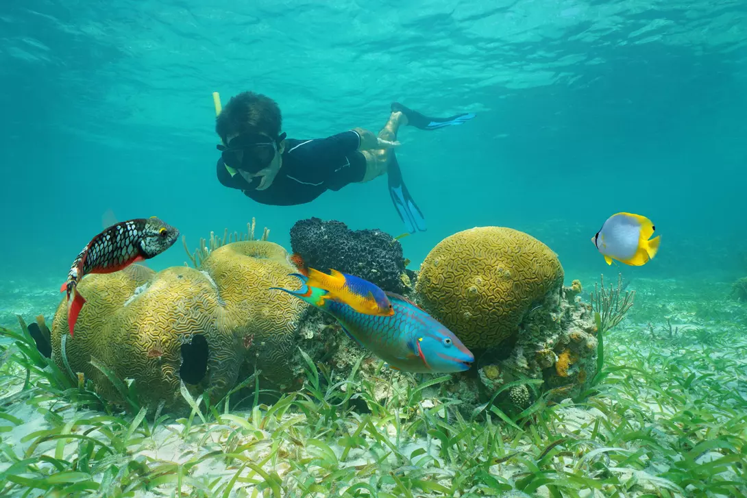 Snorkeling adventure in Belize