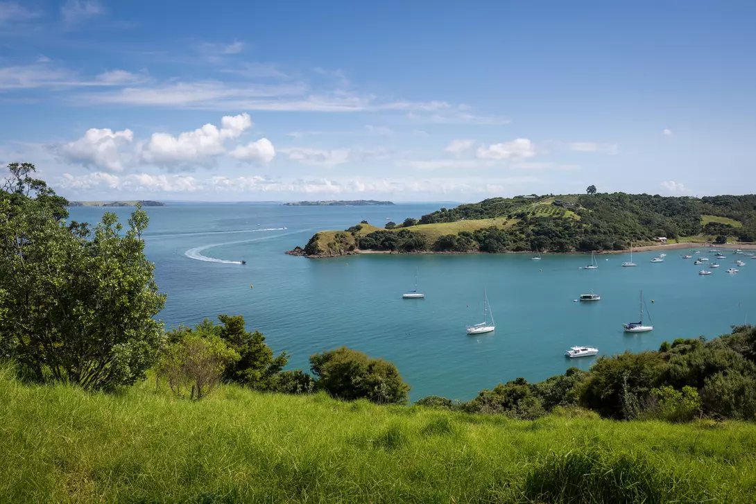 Hauraki Gulf, Waiheke Island
