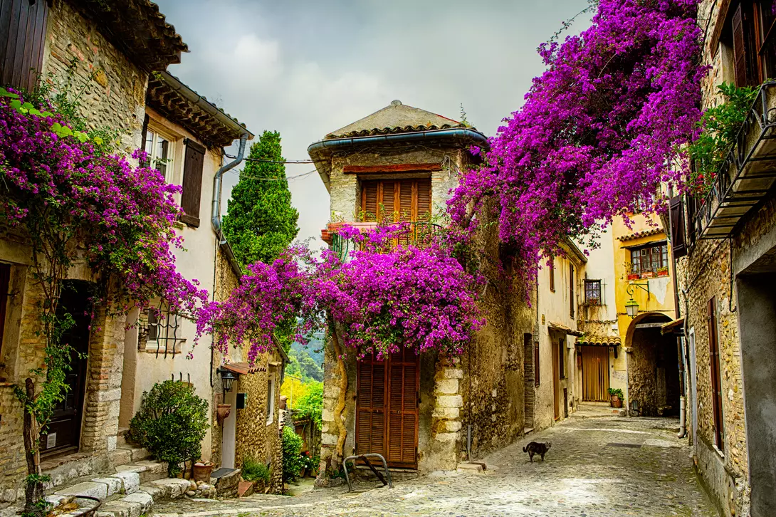 Old Town of Provence