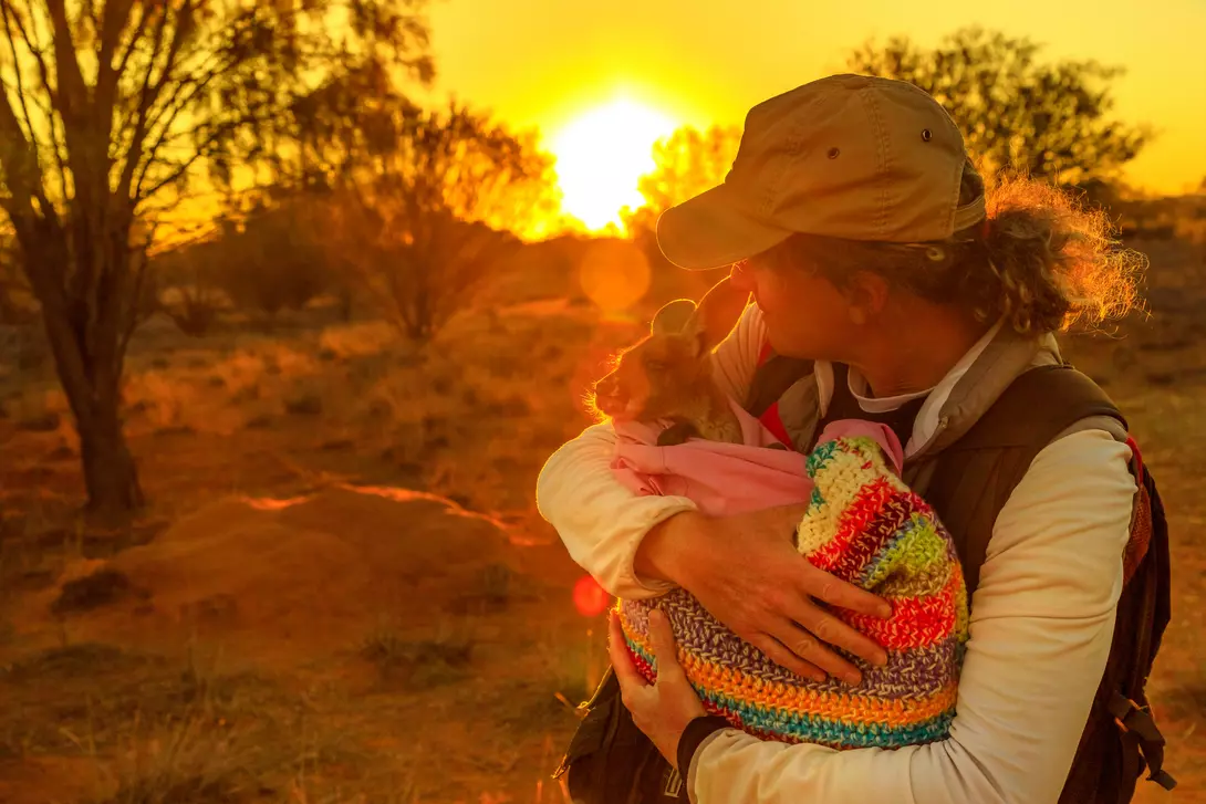 woman holding a baby kangaroo in a blanket