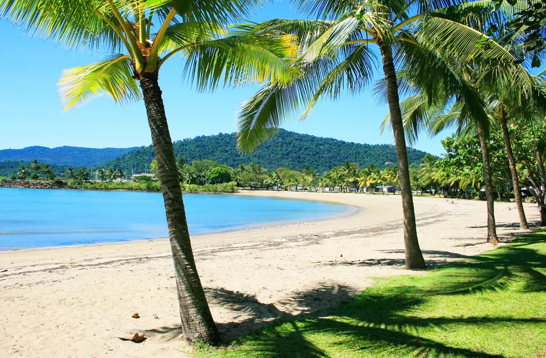 Rex Smeal Park in Port Douglas with tropical palm trees and beach, Australia
