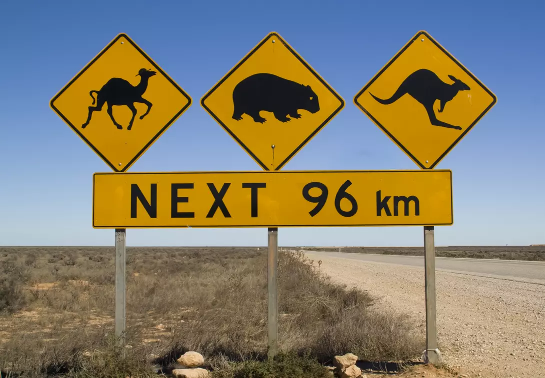 Random road warning sign in Australia main highway.