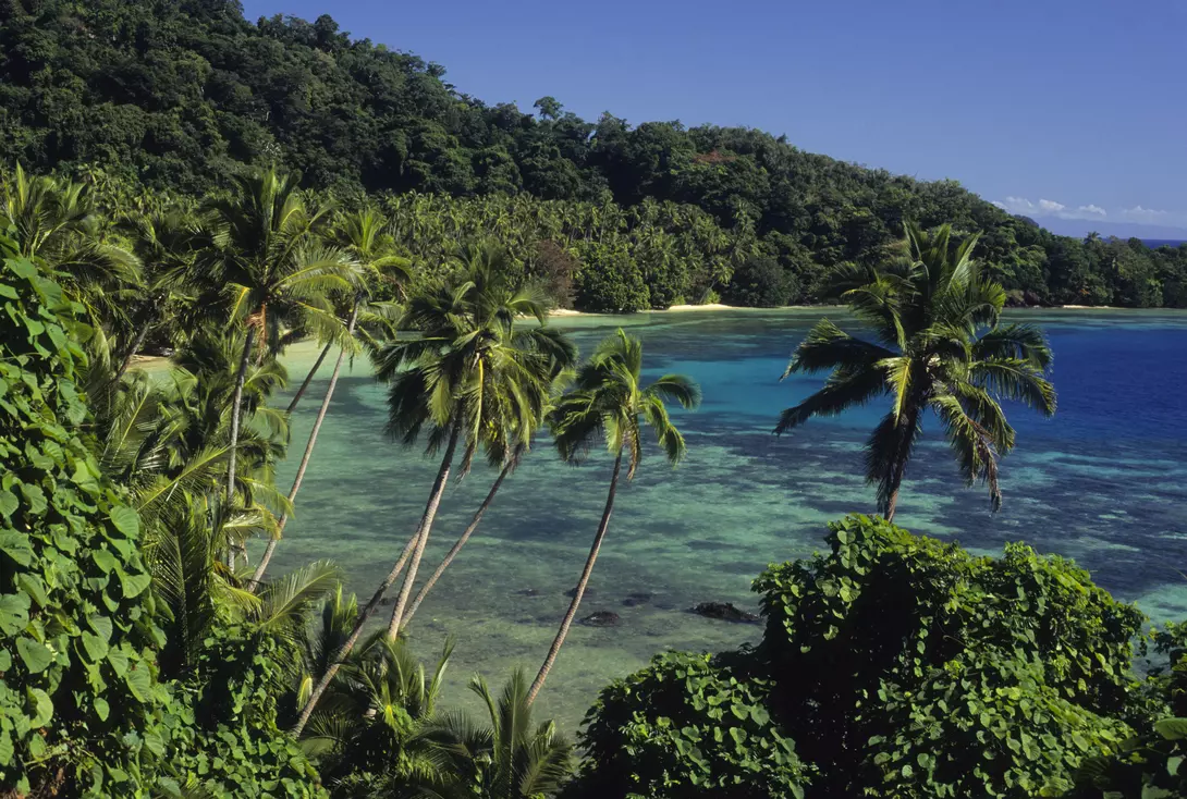 Island Beach scenic.