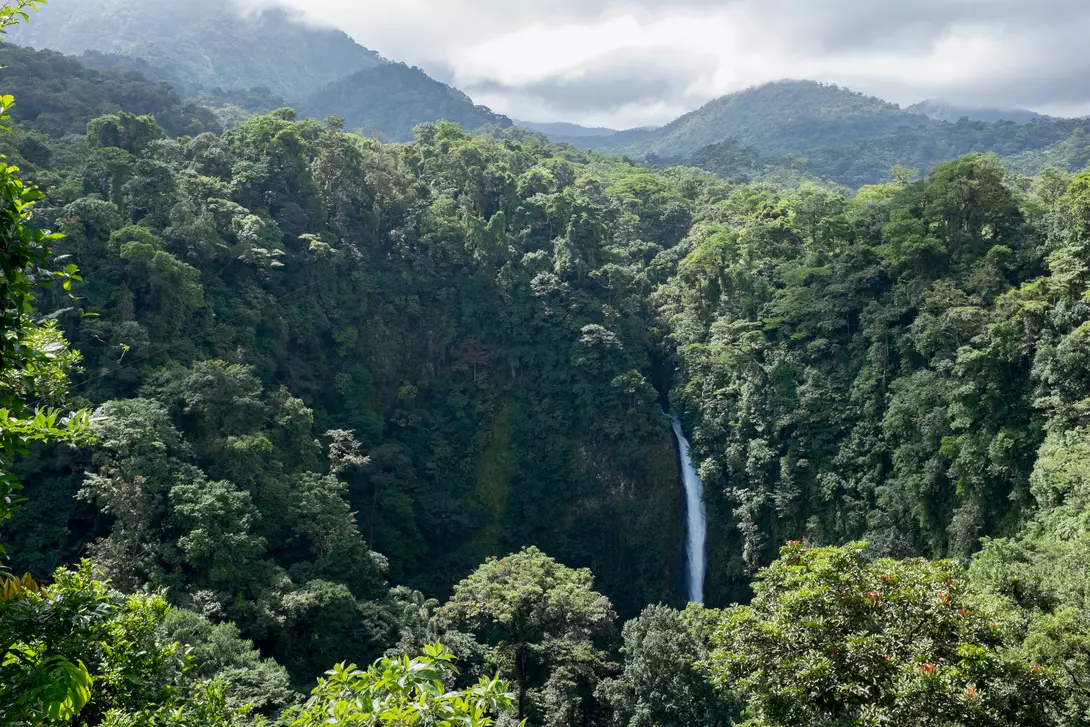 San Luis Waterfall in Monteverde
