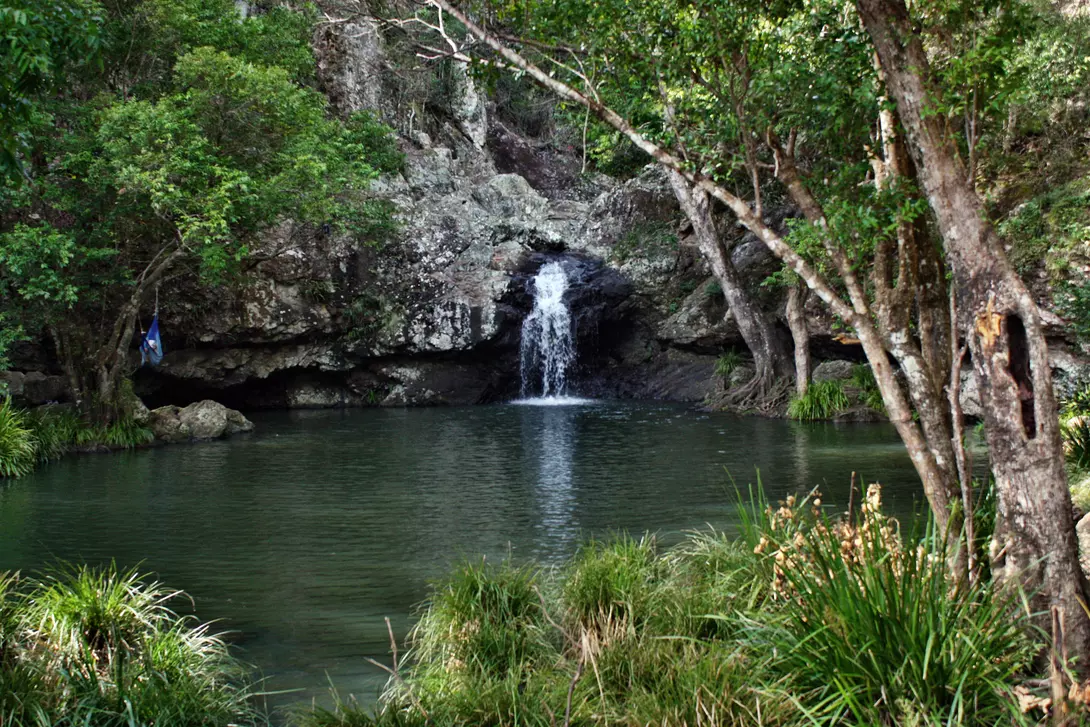 Waterfall in Kondalilla National Park near Montville, Sunshine Coast, Queensland
