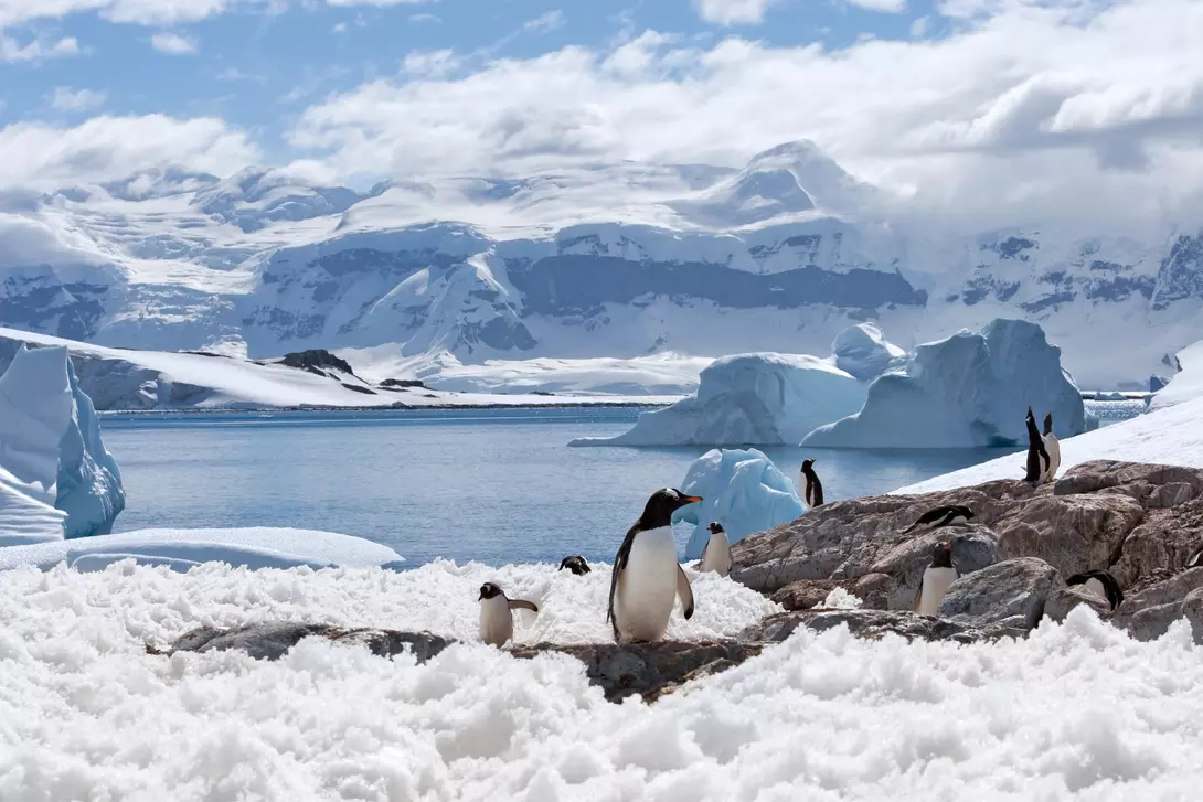 Antarctic peninsula
