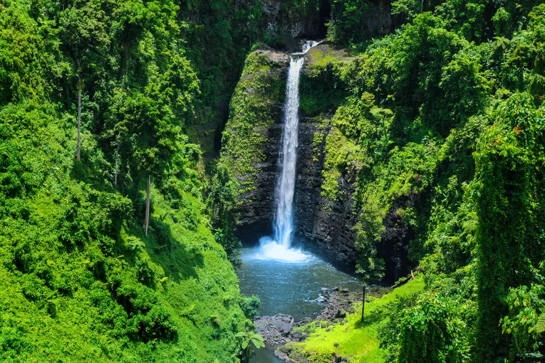 waterfall in a hidden jungle pool