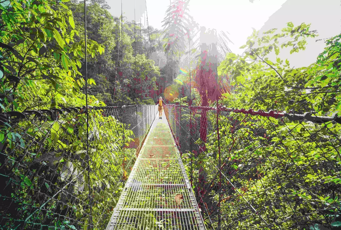 Hiking in green tropical jungle, Costa Rica, Central America