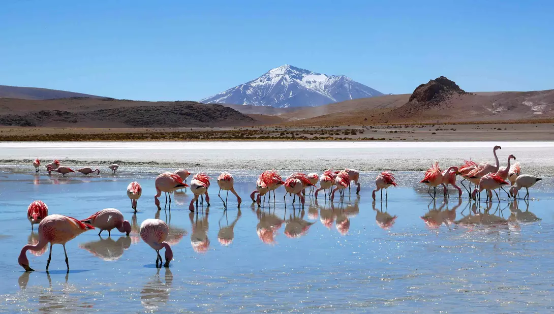 Uyuni Salt Flats, Bolivia
