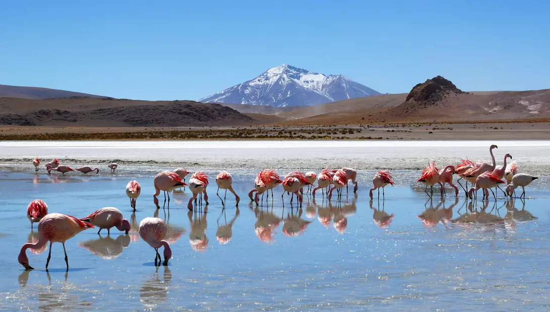 Uyuni Salt Flats, Bolivia
