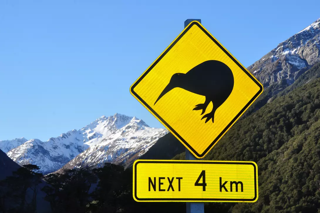Road sign warning of kiwis near Arthurs Pass, South Island, New Zealand