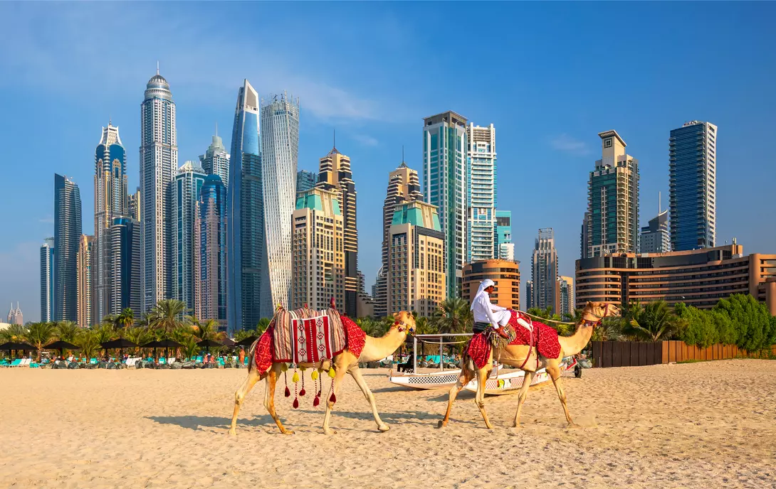 View of Dubai Marina, camels and famous Jumeirah beach in Dubai, United Arab Emirates.