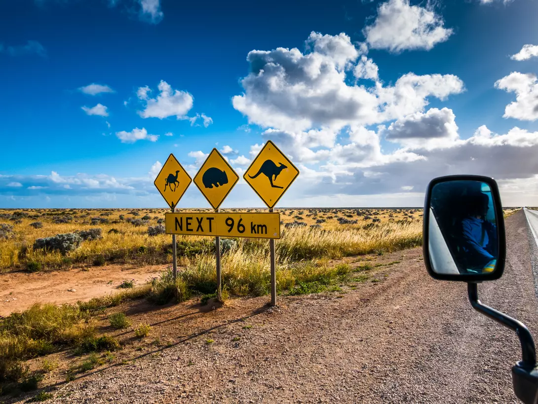A local wildlife road sign in the outback of the Nullarbor Plane in South Australia.