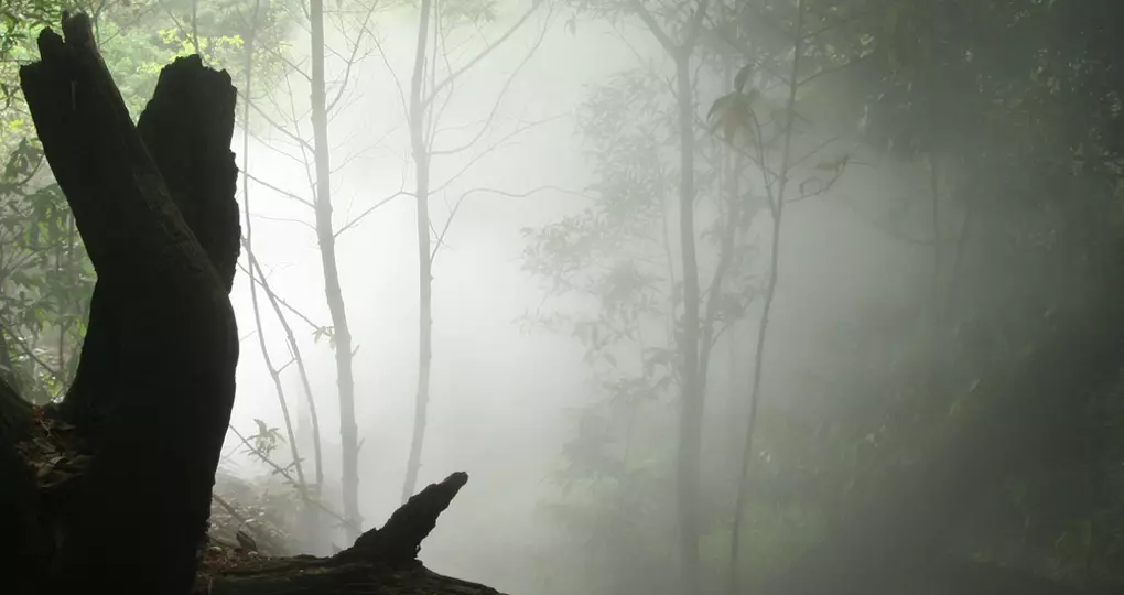 Rincon de la Vieja National Park is a must visit on your Costa Rica vacation Rincon de la Vieja National Park is a must visit on your Costa Rica vacation