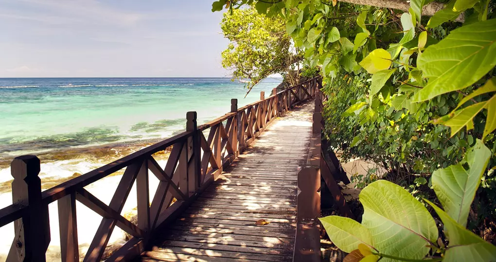 A walkway through the trees along one of Langkawi's beaches