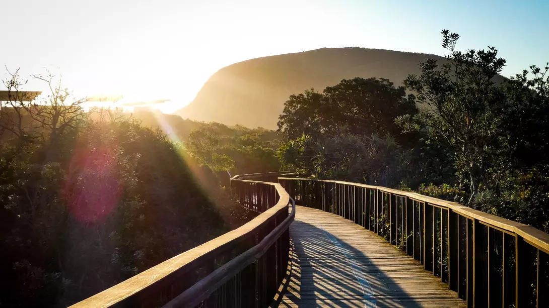 Noosa Boardwalk
