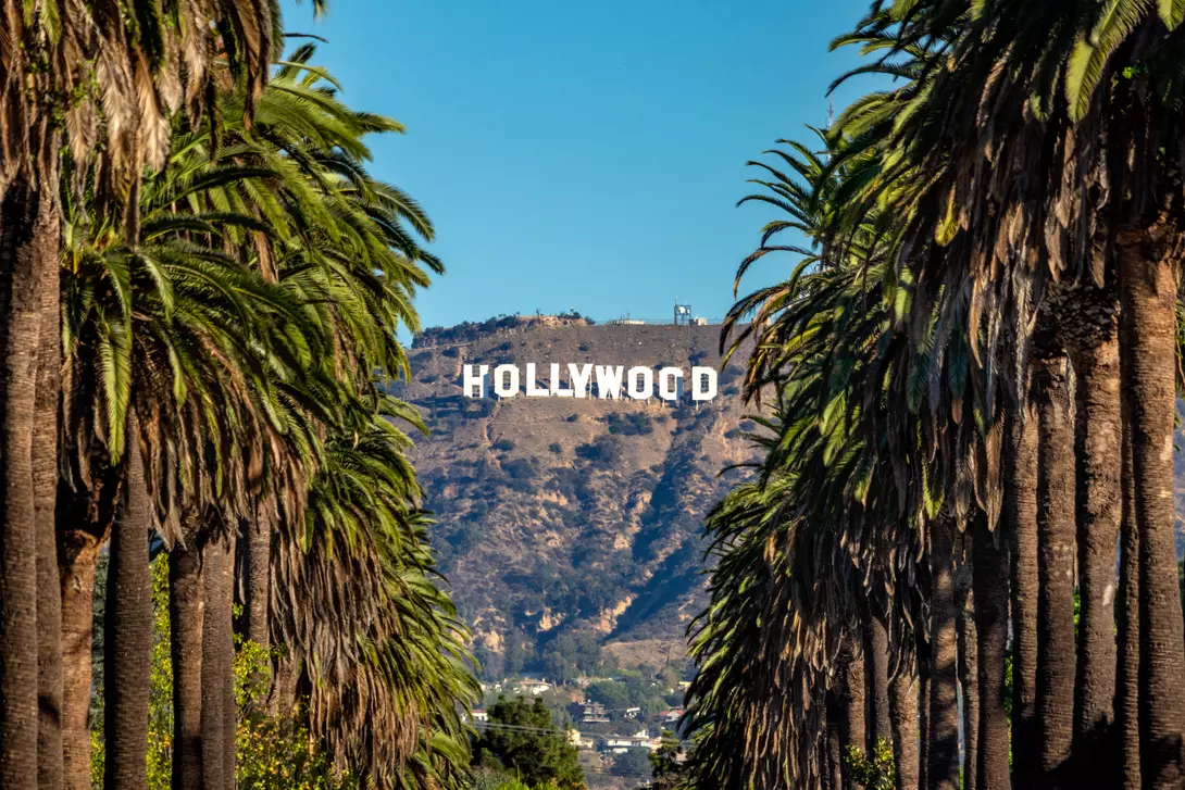 Hollywood Sign between Palm trees from central Los Angeles