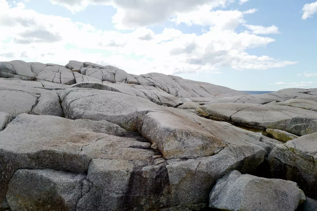 Nova Scotia Coastline