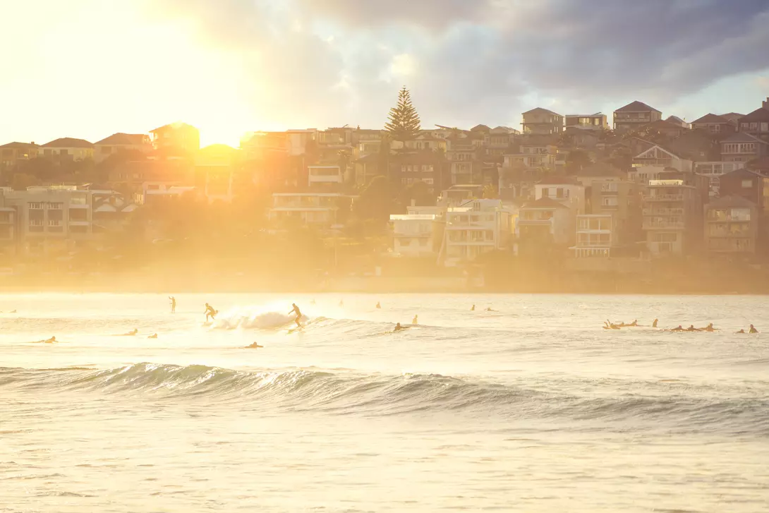 People relaxing at bondi beach at sunset