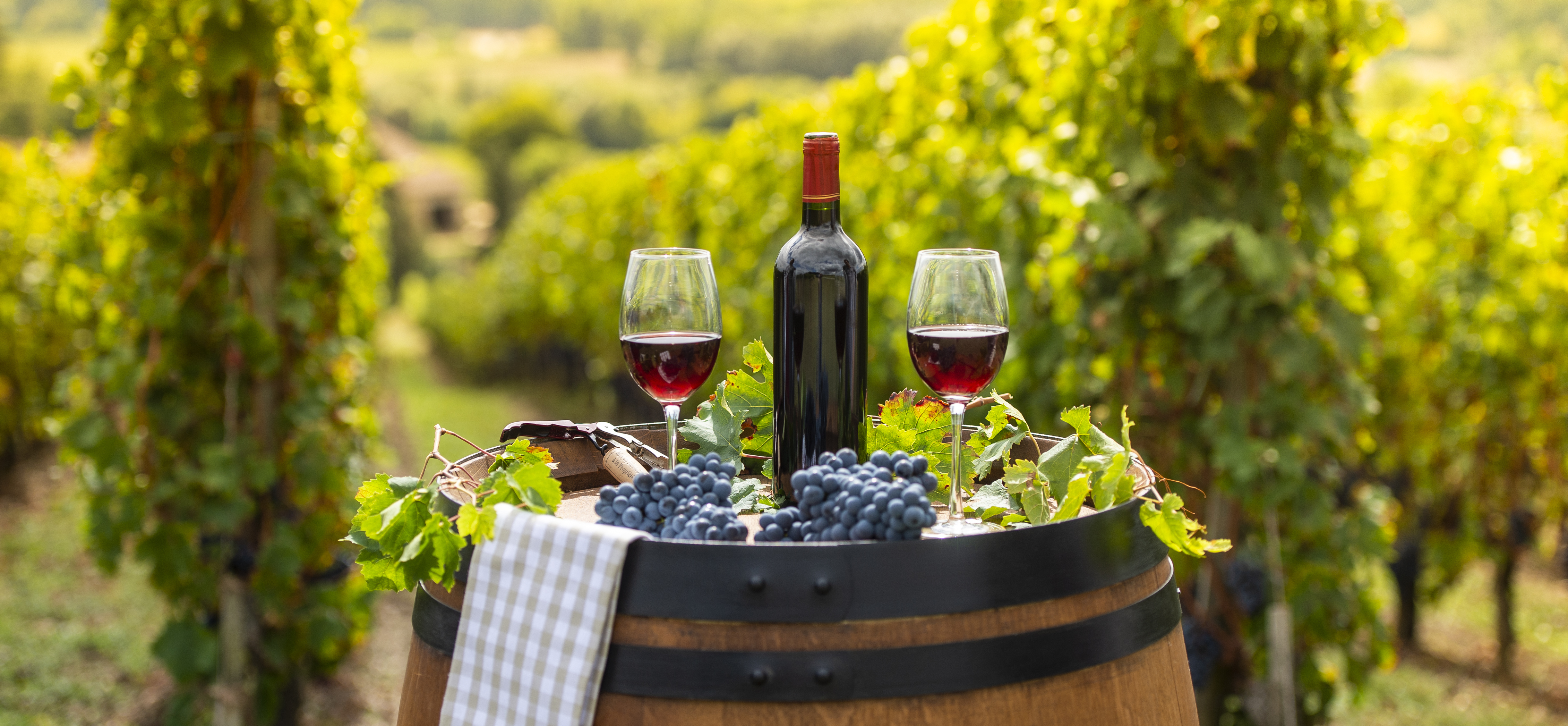Pouring red wine into the glass. Barrel outdoor in Bordeaux Vineyard