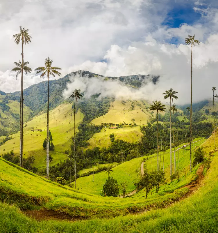 South America
