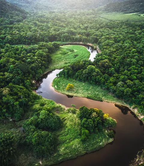 Aerial view over the treetops of the famous amazon rainforest