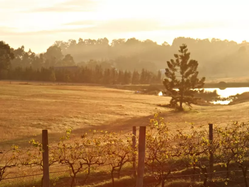 When planning and trips to Australia, a visit to the Hunter Valley should be included to experience one of Australia's premier  wine growing areas.