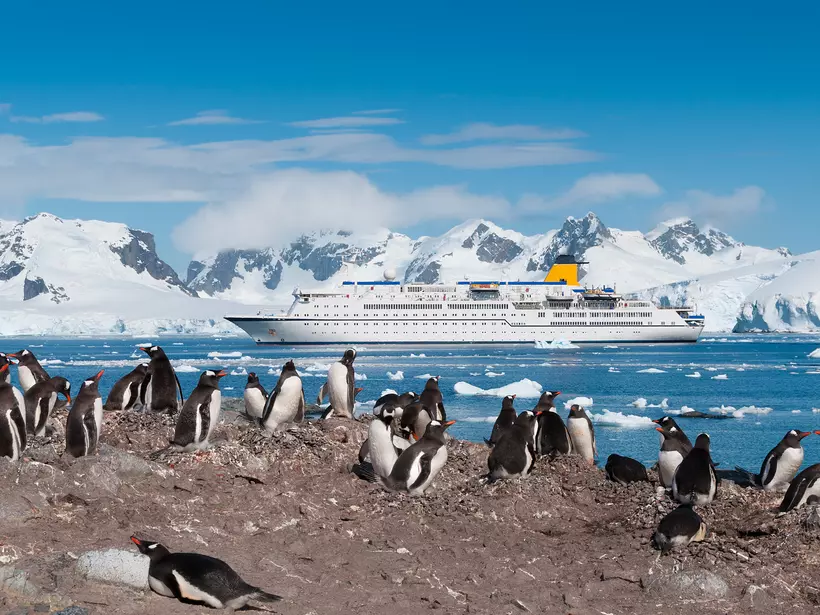 Cruising provides the most convenient and comfortable option for visiting the White Continent
